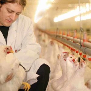 estudiar máster en control sanitario