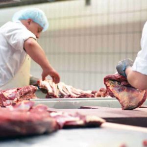 estudiar tecnología de la carne