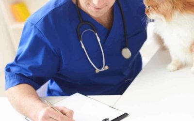 Estudia este Máster en Enfermería Veterinaria