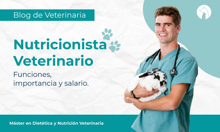¿Por qué consultar a un nutricionista veterinario para tu mascota?