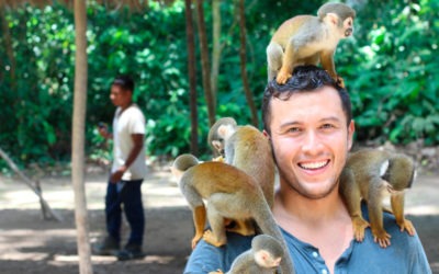 Estudiar el Curso de Cuidados de Animales Salvajes, Zoológicos y Acuarios online o a distancia