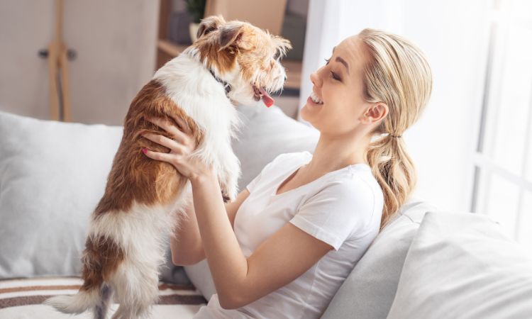 Descubre qué es y cómo celebrar el Día Mundial de los Animales.