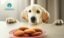 Cuáles son los síntomas de la diabetes en perros, causas y tratamiento