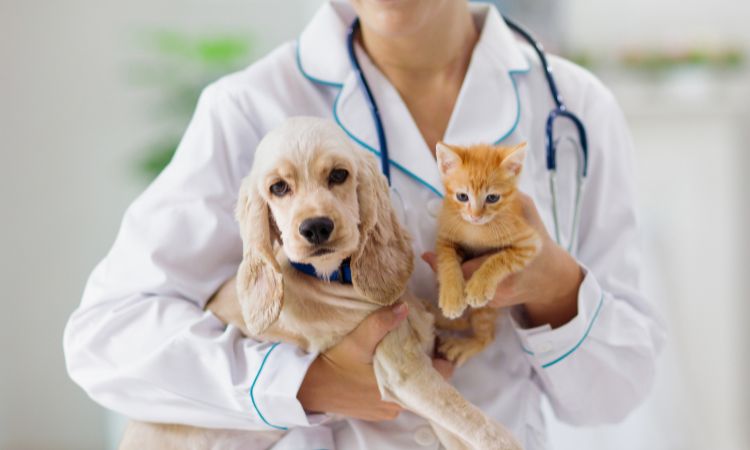 Homeopatía veterinaria: una alternativa natural para la salud animal