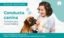 Modificación de conducta canina