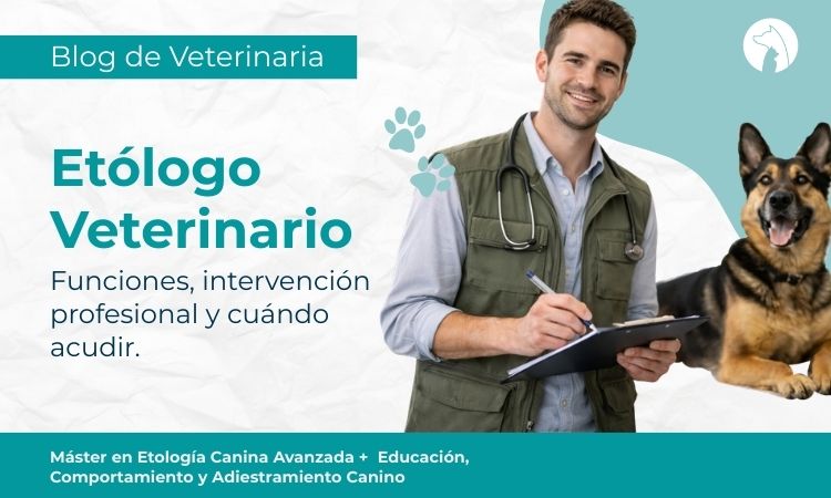 ¿Qué hace un etólogo? Funciones, alcance profesional y cuándo acudir a este especialista