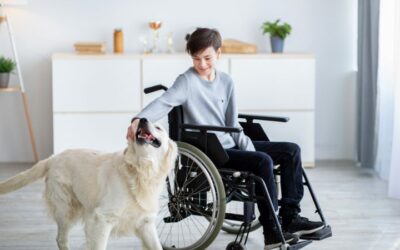 Terapia con animales: qué es, tipos y beneficios